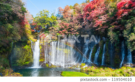 Shiraito Falls (Autumn) [Fujinomiya City] 119504010