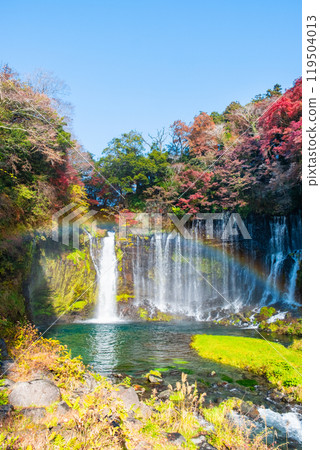Shiraito Falls (Autumn) [Fujinomiya City] 119504013