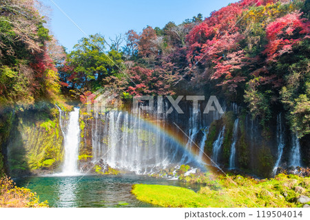 Shiraito Falls (Autumn) [Fujinomiya City] 119504014