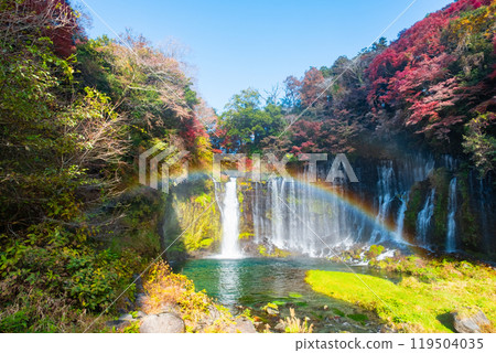 Shiraito Falls (Autumn) [Fujinomiya City] 119504035