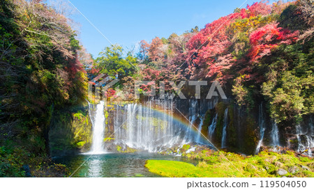 Shiraito Falls (Autumn) [Fujinomiya City] 119504050