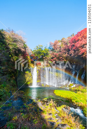 Shiraito Falls (Autumn) [Fujinomiya City] 119504051