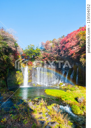 Shiraito Falls (Autumn) [Fujinomiya City] 119504052