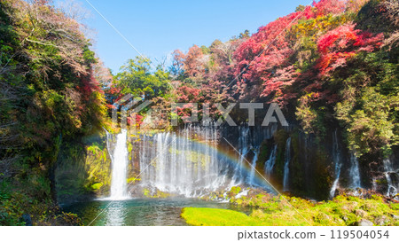 Shiraito Falls (Autumn) [Fujinomiya City] 119504054