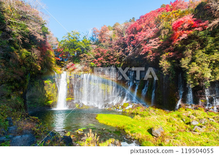 Shiraito Falls (Autumn) [Fujinomiya City] 119504055