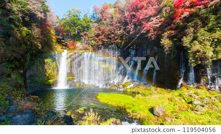 Shiraito Falls (Autumn) [Fujinomiya City] 119504056