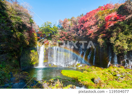 Shiraito Falls (Autumn) [Fujinomiya City] 119504077