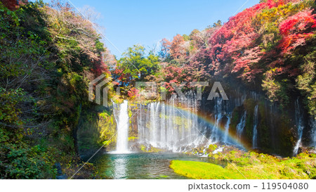 Shiraito Falls (Autumn) [Fujinomiya City] 119504080