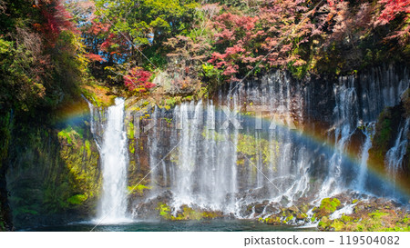 白絲瀑布（秋季）[富士宮市] 119504082