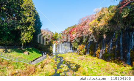 Shiraito Falls (Autumn) [Fujinomiya City] 119504106
