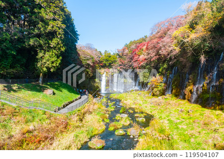Shiraito Falls (Autumn) [Fujinomiya City] 119504107