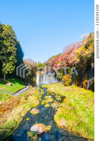 Shiraito Falls (Autumn) [Fujinomiya City] 119504109