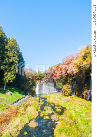 Shiraito Falls (Autumn) [Fujinomiya City] 119504111