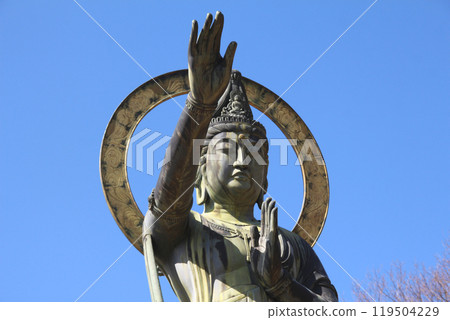 Kannon of Nakayama Kannon 119504229