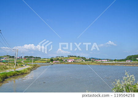 [韓國/全羅南道] 新安郡1004島和屏府島風景 119504258
