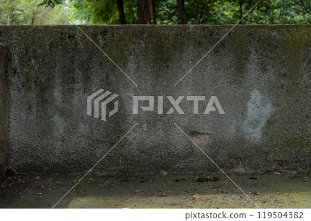 Concrete Wall Surface with Moss for Wallpaper Background. 119504382