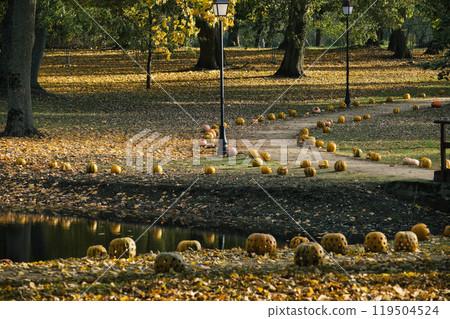Serene park in autumn features a path lined with carved pumpkins, surrounded by golden foliage 119504524