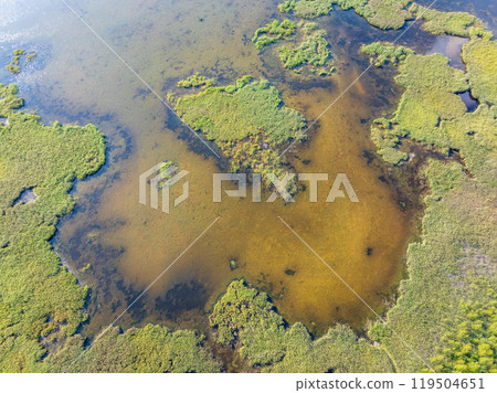 Aerial view of lake or river green shore with forest. Summer season. Aerial view of lake or river green shore with forest. Summer season. 119504651