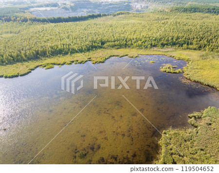 Aerial view of lake or river green shore with forest. Summer season. Aerial view of lake or river green shore with forest. Summer season. 119504652