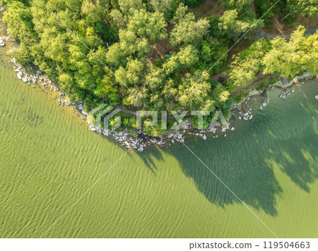 Aerial view of lake or river green shore with forest. Summer season. 119504663