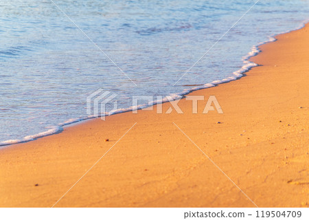 Soft wave of the sea on the sandy beach. 119504709