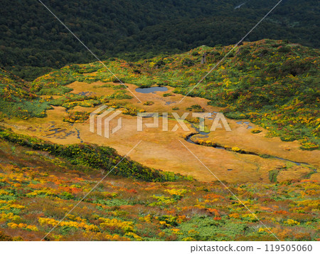 [Mountain scenery] Autumn leaves of Mount Kurikoma and Ryusengahara in Miyagi, Akita and Iwate prefectures (2023) 119505060
