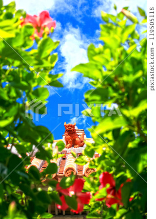 Mensore Okinawa Blue sky、red hibiscus 和 shisa 119505118