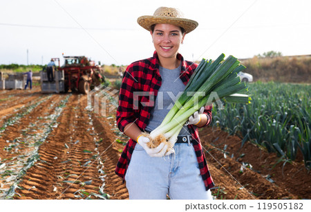Woman farmer harvesting leeks and stacking them in boxes in field Woman farmer harvesting leeks and stacking them in boxes in field 119505182