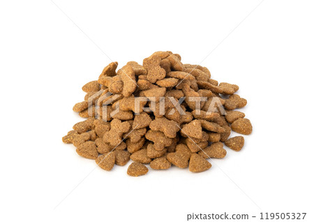 Heap of Dry dog food pellets isolated on white background 119505327