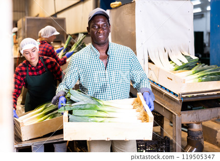 Portrait of an african american farmer with a crate of leeks 119505347