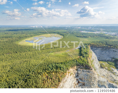 Aerial view of lake or river green shore with forest. Summer season. 119505486