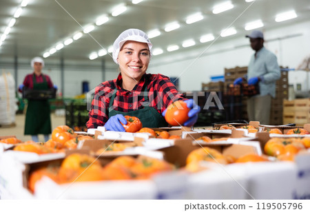 Positive woman checking quality of tomatoes in warehouse 119505796