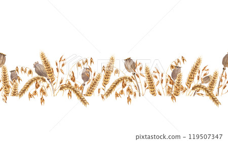 Horizontal seamless banner, border with oat branches, dried poppy seed heads and ears of wheat, cereal. Hand drawn watercolor illustration isolated on white. For clip art cards label package wallpaper Horizontal seamless banner, border with oat branches, dried poppy seed heads and ears of wheat, cereal. Hand drawn watercolor illustration isolated on white. For clip art cards label package wallpaper 119507347