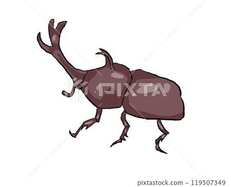 甲蟲插圖剪切 甲蟲插圖剪切 119507349