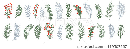 Branches collection hand drawn, vector. Branches collection hand drawn, vector. 119507367