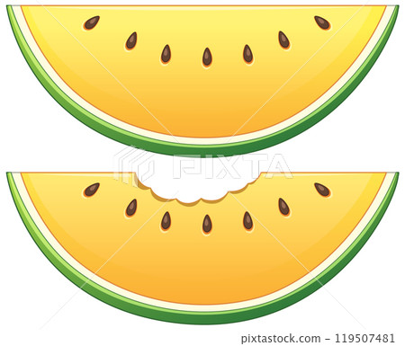 Juicy Yellow Watermelon Slices Illustration 119507481