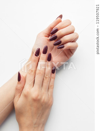 Elegant hands displaying deep burgundy manicure on a clean white background Elegant hands displaying deep burgundy manicure on a clean white background 119507921