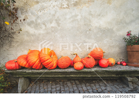 Some pumpkins on stone bench 119508792