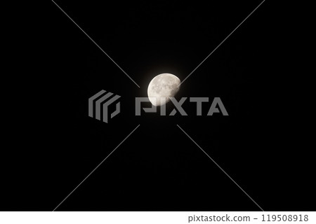 月 月 119508918