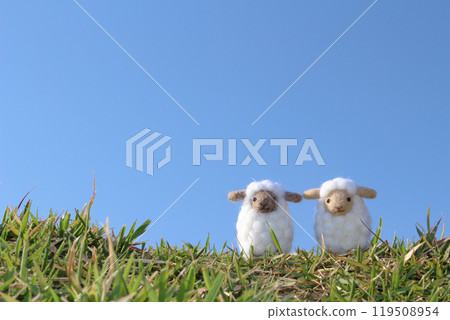 Blue sky, two wool felt sheep and grass Blue sky, two wool felt sheep and grass 119508954