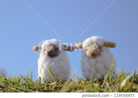 Blue sky, two wool felt sheep and grass Blue sky, two wool felt sheep and grass 119508955