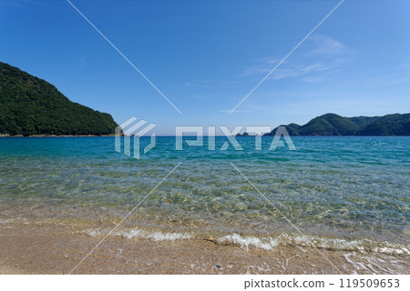 Sunny Japan Coast 119509653