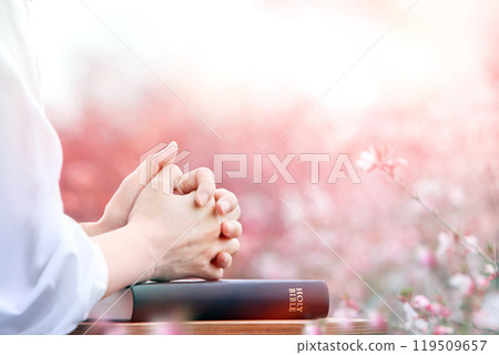 Christian praying and worshiping with both hands clasped on the holy bible, with a beautiful flower field in the background Christian praying and worshiping with both hands clasped on the holy bible, with a beautiful flower field in the background 119509657