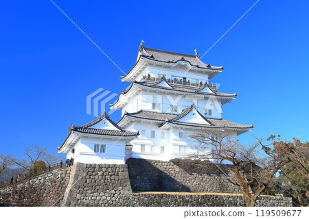 [神奈川縣]晴天時的小田原城天守閣 119509677