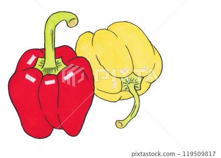 Hand-painted watercolor painting (etegami) "Red and yellow paprika" overlapping 119509817