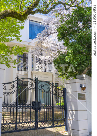 Kobe Kitano Ijinkan District: Hillside House and cherry blossoms Kobe Kitano Ijinkan District: Hillside House and cherry blossoms 119509952