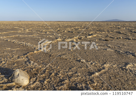 The salt plains of Asale Lake in the Danakil Depression in Ethiopia.  119510747