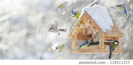 Little birds feeding on a bird feeder with sunflower seeds on winter background. Great tit, blue tit, chickadee. Winter time Little birds feeding on a bird feeder with sunflower seeds on winter background. Great tit, blue tit, chickadee. Winter time 119511257