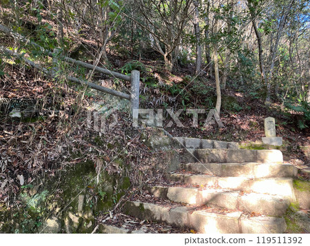 Four blocks from the Narii trailhead on Mt. Takagoi (Kakogawa City, Hyogo Prefecture) 119511392