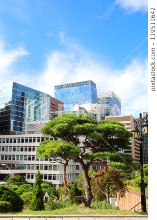Modern buildings in the area Myeongdong, Seoul, South Korea. Beautiful landscape with pine tree and skyscrapers, Myeong dong district, Seoul, Republic of Korea Modern buildings in the area Myeongdong, Seoul, South Korea. Beautiful landscape with pine tree and skyscrapers, Myeong dong district, Seoul, Republic of Korea 119511642